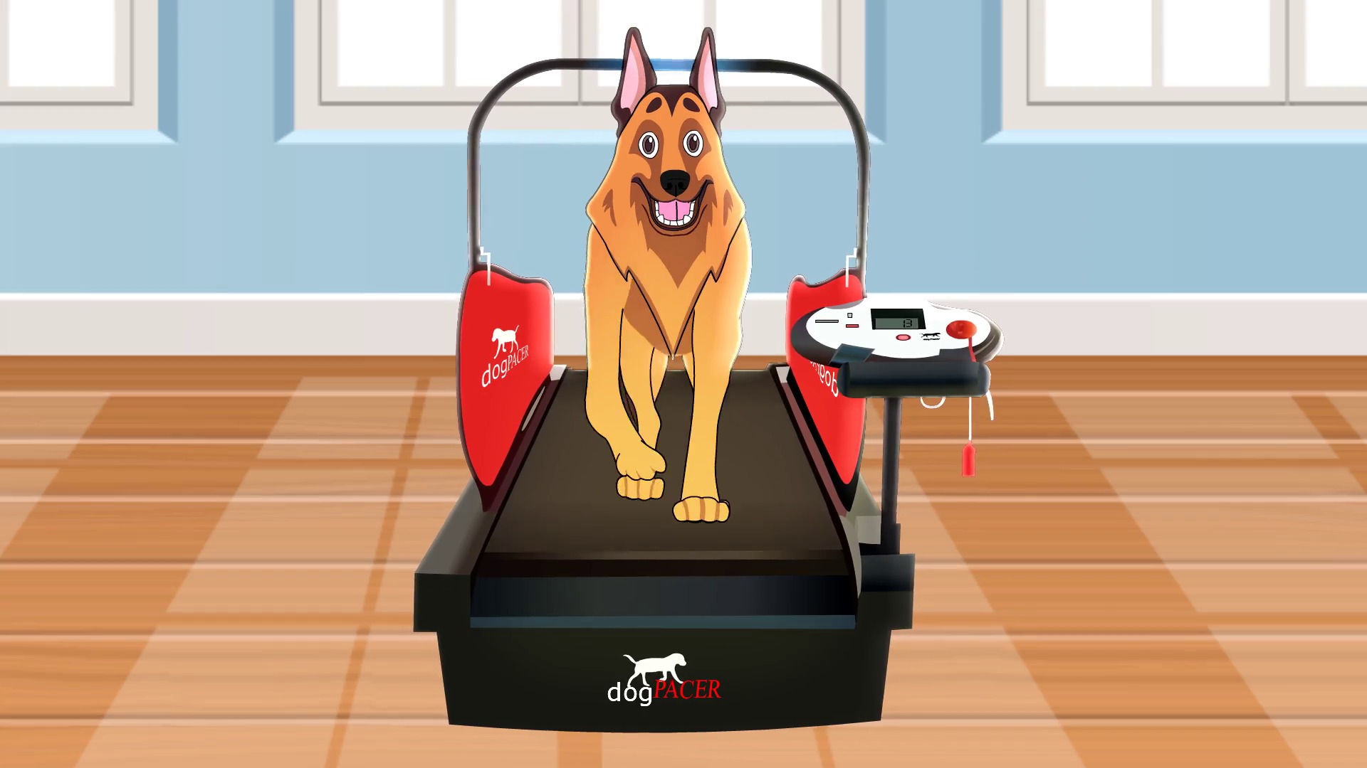 כלב על הליכון dogPACER